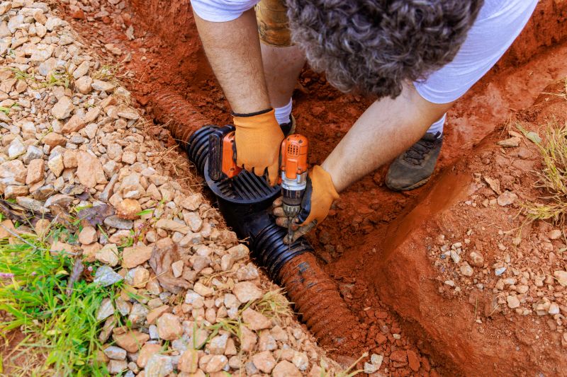 Ensure proper waste disposal and hygiene